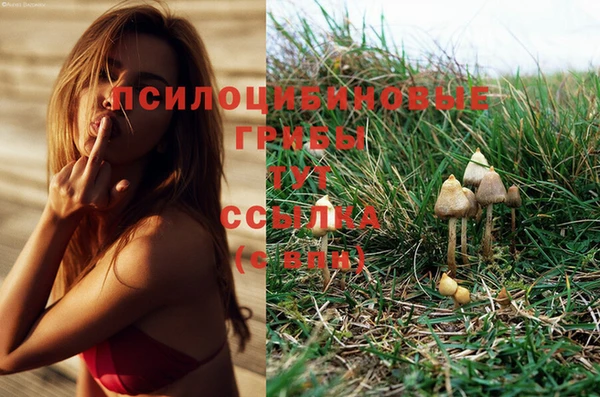 соль курить ск Балабаново