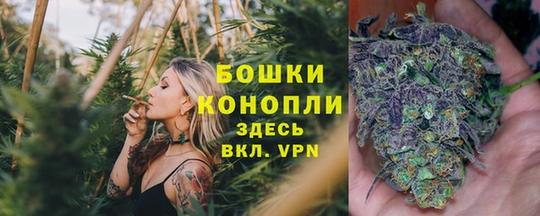 не бодяженный Арсеньев