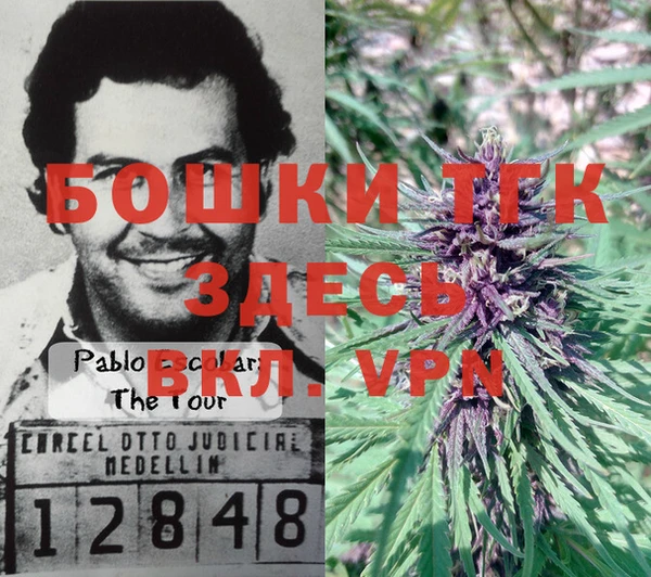 гашик Армянск